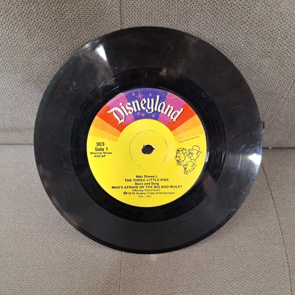 Disneyland Record - Picture 2 of 2